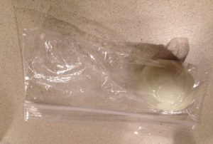 egg-sack